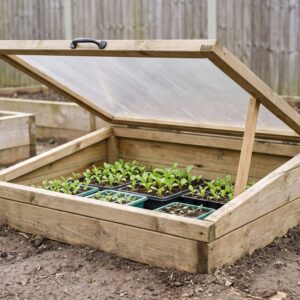 Denbigh timber cold frame with the polycarbonate lid propped open over trays of seedlings
